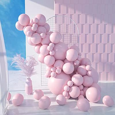 Pastel Balloons100 Pcs 10inches Assorted Pastel Balloons For Birthday Baby  Shower Party Decorations