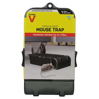 Victor Catch and Hold No-Touch Humane Outdoor and Indoor Mouse