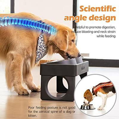 Elevated Dog Food Water Bowl - Raised Dog Bowls with Stand Non