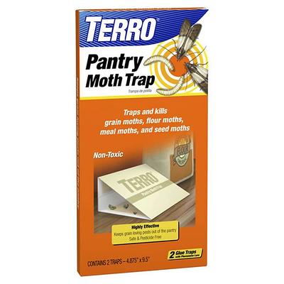 Non-Toxic Indoor Insect Traps