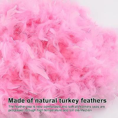 6PCS Colorful Party Feather Boas Bulk for Women Girls 6.56Ft for Mardi Gras  Part