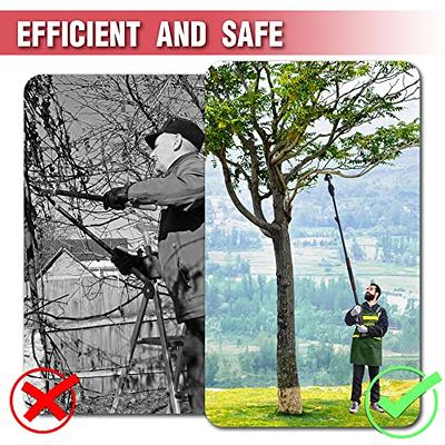 Cordless Mini Chainsaw with 10FT Telescopic Extension Pole, T