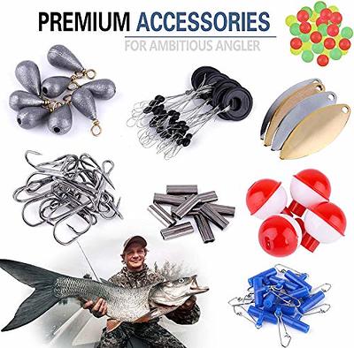 PLUSINNO Fishing Accessories Kit, 263pcs Fishing Tackle Kit with Tackle Box  Including Weights Sinkers, Jig Hooks, Beads, Swivel Snap, Bobbers Float,  Saltwater Freshwater Fishing Gear - Yahoo Shopping