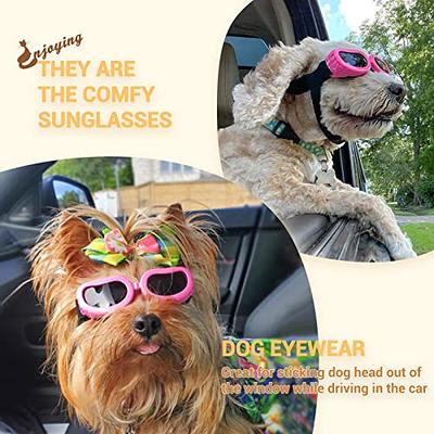 Enjoying Dog Goggles/Sunglasses Small Breed Outdoor UV Protection Dog  Sunglasses for Small Dogs Eye Protection Anti-Fog/Wind/Dust/Snowproof Puppy  Glasses, Pink - Yahoo Shopping