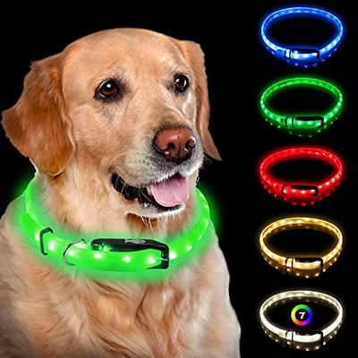 LED Dog Collar Light Up Night Safety Collar USB Rechargeable Waterproof for One