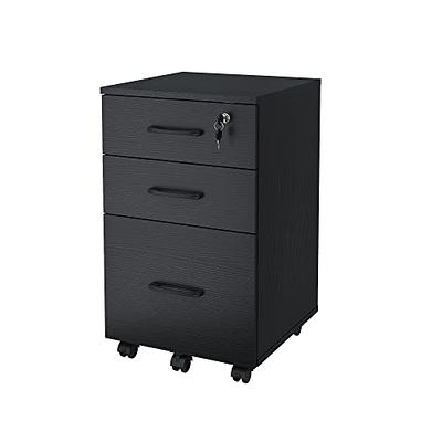 Homestock Black 9-Drawer Office Storage Cabinet