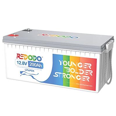 Redodo 12V 200Ah LiFePO4 Battery Lithium Battery with 100A BMS
