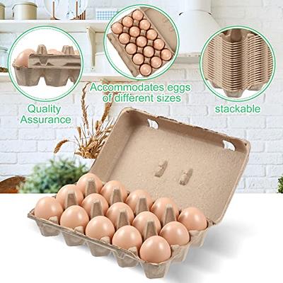 200 Pcs Pulp Egg Cartons Bulk Blank Natural Empty Egg Cartons One