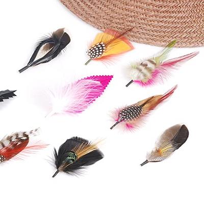Hat Feathers, 10 Pcs Assorted Natural Feather Packs Accessories for Fedora, Cowboy, Open Road, Borges, Scott, Trilby Hats