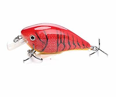 Codaicen Bait Fish Crankbait for Bass Fishing Fishing - Life-Like Bass  Fishing Lures - Predatory Swimbait Fishing Lures - Catches Bass, Walleye,  Pike (Baby Red) - Yahoo Shopping
