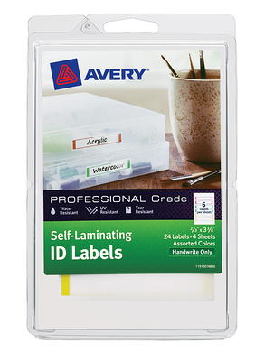 Avery Removable LaserInkjet Organization Labels 6481 2 x 4 Assorted Colors  Pack Of 120 - Office Depot