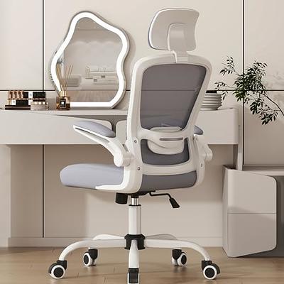 Ergonomic Office Chair, Headrest, Adjustable Lumbar Support, High Back  Armrests