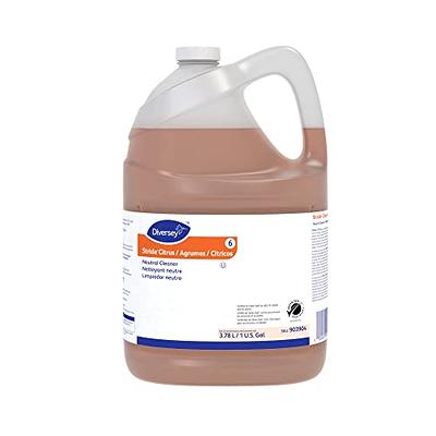 Noble Chemical 1 Gallon / 128 oz. Orange Peel Citrus Concentrated Solvent  Cleaner