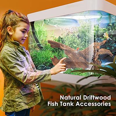 Jorewood Natural Large Coral Driftwood for Aquarium Decor Fish