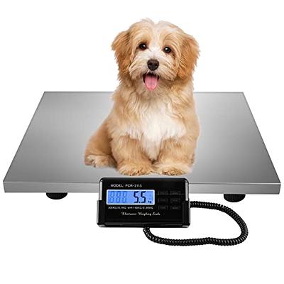 Teeter Totter (BW) Digital Scale, 100g/0.01g Stainless Steel Plate