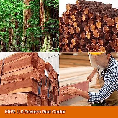 20Pcs Natural Cedar Wood Block Moth Repellent Cedar Clothes