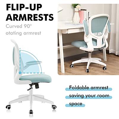 FelixKing Office Chair, Ergonomic Desk Chair with Adjustable Height and  Lumbar Support Swivel Lumbar Support Desk Computer Chair with Flip up  Armrests