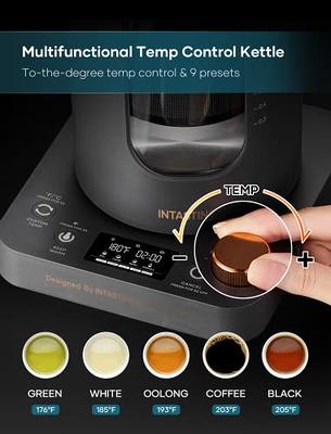1200W Variable Temperature Smart Tea Kettle, Fast Boil Glass