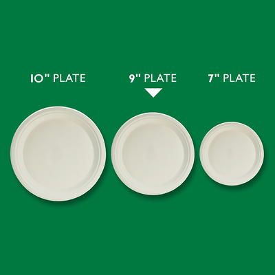 Hefty ECOSAVE Tableware