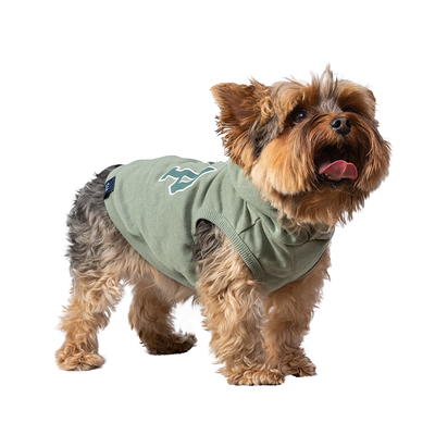 Gap Pet, Dog Clothes, Green Classic Pet Hoodie, Size: Medium