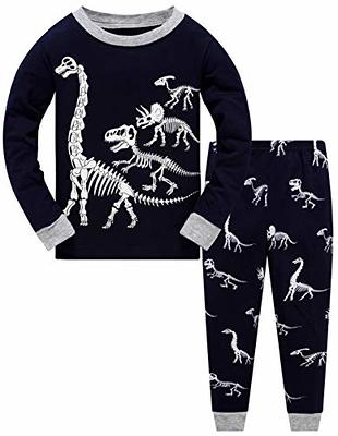 Boys Long Sleeve Birthday Dino Snug Fit Cotton 2-Piece Pajamas