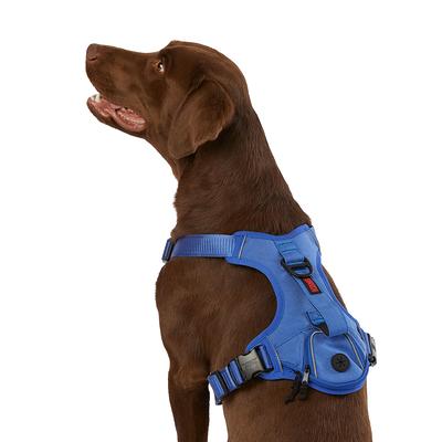 Save on Pet Collars & Harnesses - Yahoo Shopping