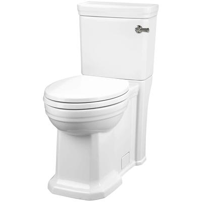 Project Source Danville Black Elongated Chair Height 2-piece WaterSense  Toilet 12-in Rough-In 1.28-GPF in the Toilets department at