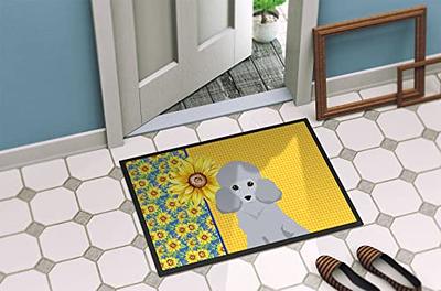 Color G Door Mats Indoor, 24x36 Navy Front Door Mat Indoor Door Rugs for  Entryway Indoor, Inside Door Mats Absorbent Floor Mat, Non Slip Washable