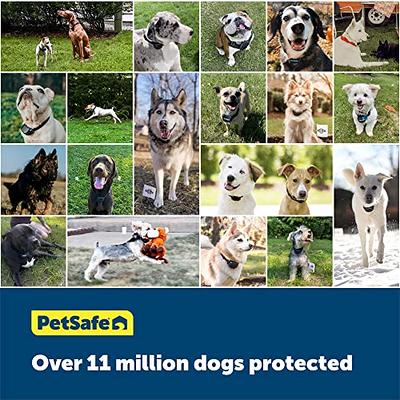 PetSafe Classic In-Ground Fence Rechargeable Receiver Collar for Dogs and  Cats - from The Parent Company of Invisible Fence Brand - 7 Levels of