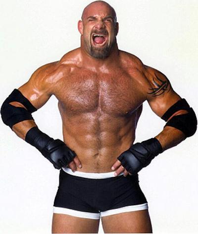 ec13ab70cdbillgoldberg.jpg.cf.jpg