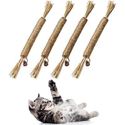  MITOCAPY 3-in-1 Christmas Cat Toys,Catnip Toys for Cats with  Feather Cat Toy Wand & Cat Treat Dispenser,Tumbler Interactive Cat Toys for  Indoor Cats, Avocado Cat Puzzle Feeder, Funny Kitten Toys 