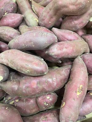 Fresh Sweet Potatoes US #1 40 lb.