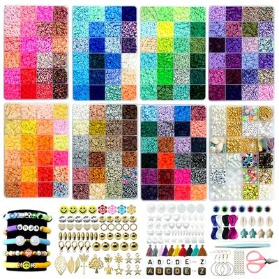 YQ 10700pcs Glass Seed Beads for Bracelets Making Kit, 30 Colors Small  Beads Friendship Bracelet Kit, 2mm 3mm Seed Beads for Jewelry Making