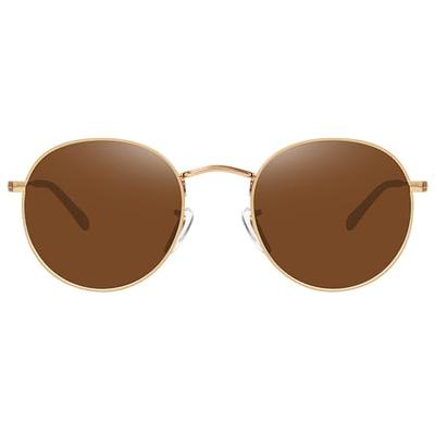 Polarized Vintage Retro Round Sunglasses Men Women Metal Frame