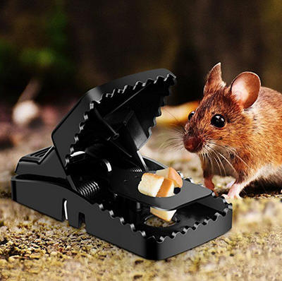 6-PACK Reusable MOUSE TRAPS Rat Trap Rodent Snap Trap Mice Trap Catcher  Killer