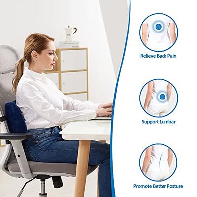 SAIREIDER Seat Cushion and Lumbar Support Pillow for Office Chair, Memory  Foam Car Seat Cushions Back Support Pillows, Help Relieve Pain of Back