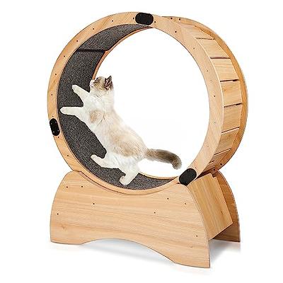 Wheel for shop cat exercise