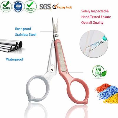 2Pcs Professional Stainless Steel Dental Forceps Tweezers Straight and  Curved Tip Precision Eyebrow and Splinter Removal Tweezers