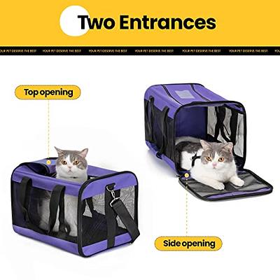 Conlun Cat Carrier Airline Approved, Soft-Sided Dog Carrier with Inner  Safety Leash, Pet Transport Carrier for Small-Medium Cats Puppies up to 15  Lbs, Collapsible Travel Kitten Carrier Bag -Blue M - Yahoo