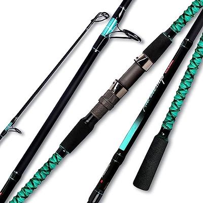 FISHAPPY Carbon Fiber Surf Rod Saltwater Surf Spinning Fishing Rod with  Seaguide Reel Seat (9' - 2 Piece) - Yahoo Shopping