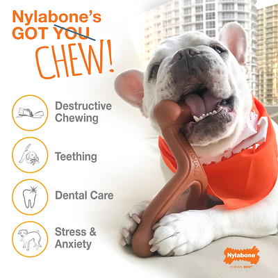 Nylabone Dura Chew Pancakes & Sausage, Roast Beef & Lasagna Dog