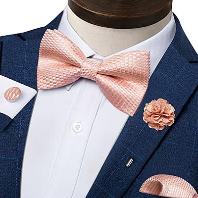 DiBanGu Mens Pink Plaid Ties Classic Silk Wedding Necktie with