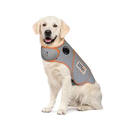 BETYMAO Reflective Breathable Dog Trainer Vest with Pockets India