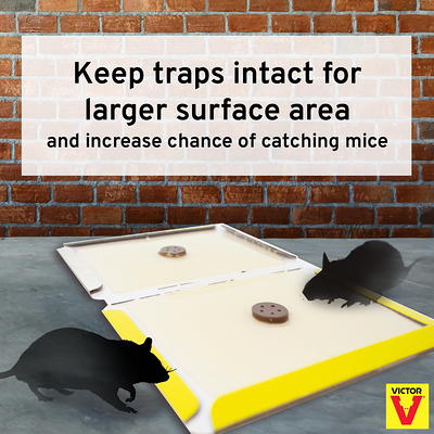 Victor Hold-Fast Disposable Mouse Glue Traps - 2pk