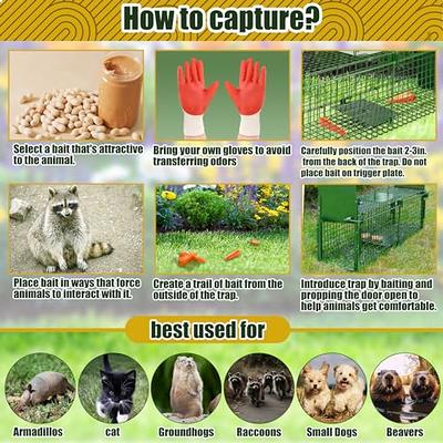 Moclever Humane Cat Trap Cage Catch Release Live Animal Rodent Cage  Collapsible Galvanized Wire for Small Raccoons Beavers Groundhogs Foxes