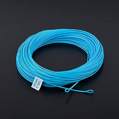 HERCULES Fly Fishing Line Floating Weight Forward Fly Line with Double Welded  Loop, Teal Blue, WF6F 100FT - Yahoo Shopping