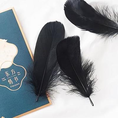 100pcs Black Loose Goose Feathers 5-7 Inch for Crafts Wedding Decoration  Home Party Decor Clothing Hats Mask Decorating - Yahoo Shopping