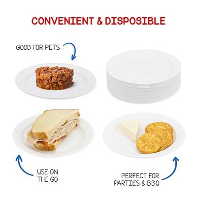 Hygloss Products 6 Uncoated White Paper Plates Bulk, 6 Inch, 1000