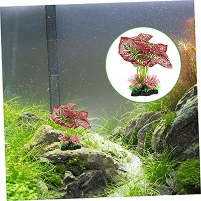 Betta Accessories 