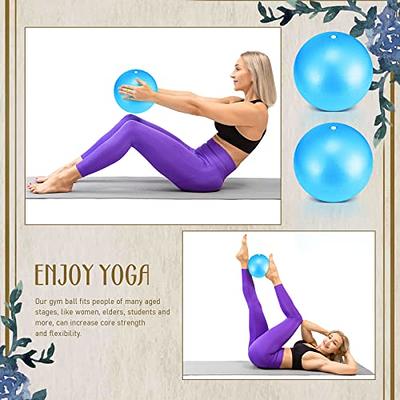 Mini Exercise Ball - 9 Inch Small Bender Ball for Stability, Barre